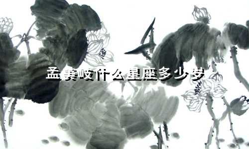 孟美岐什么星座多少岁