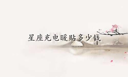 星座充电暖贴多少钱