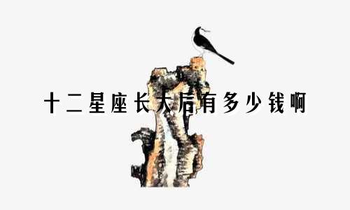 十二星座长大后有多少钱啊
