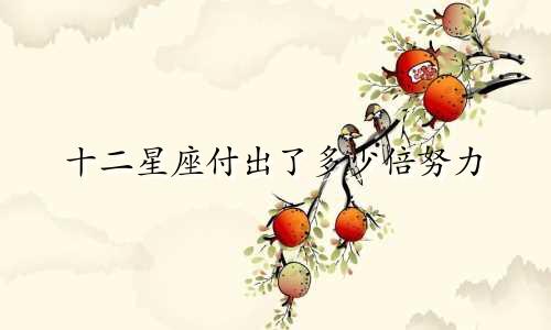 十二星座付出了多少倍努力