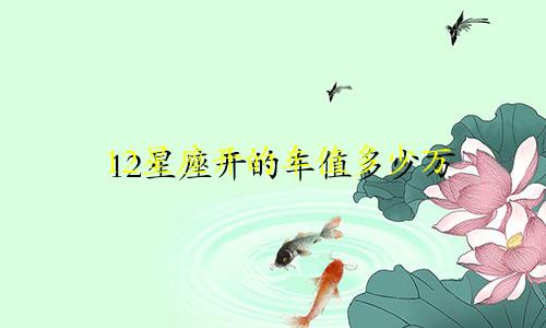 12星座开的车值多少万