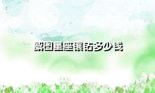 威图星座镶钻多少钱