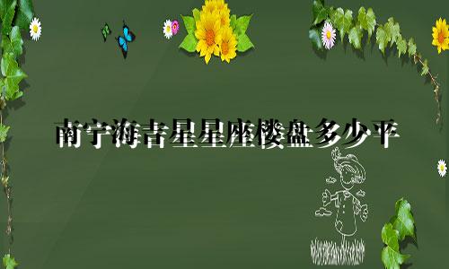 南宁海吉星星座楼盘多少平