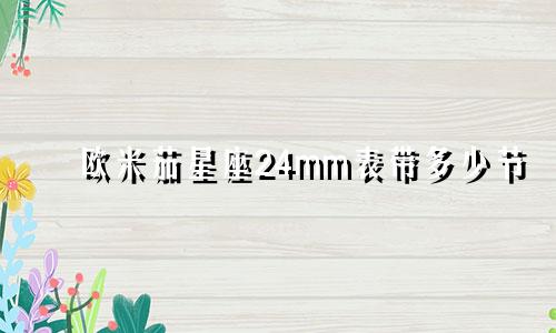 欧米茄星座24mm表带多少节