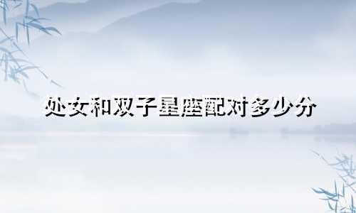 处女和双子星座配对多少分