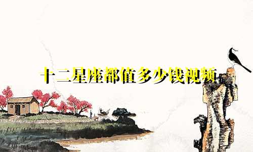 十二星座都值多少钱视频