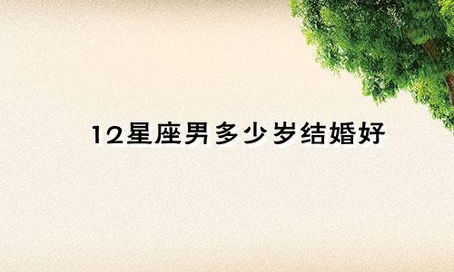 12星座男多少岁结婚好