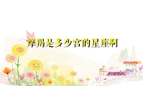 摩羯是多少宫的星座啊