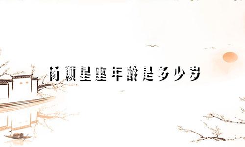 杨颖星座年龄是多少岁