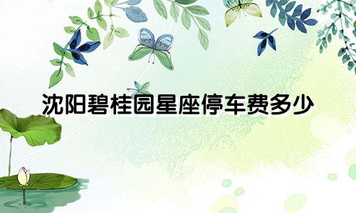 沈阳碧桂园星座停车费多少