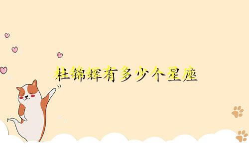 杜锦辉有多少个星座