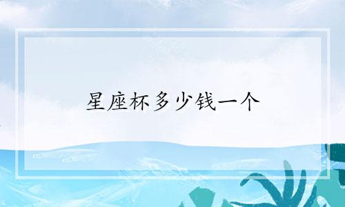星座杯多少钱一个