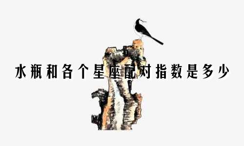 水瓶和各个星座配对指数是多少