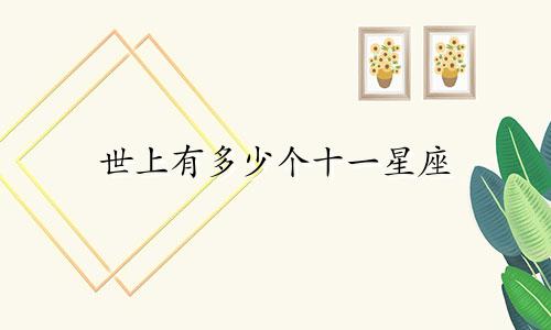 世上有多少个十一星座
