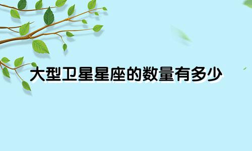 大型卫星星座的数量有多少