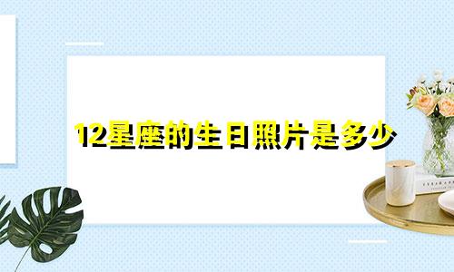 12星座的生日照片是多少