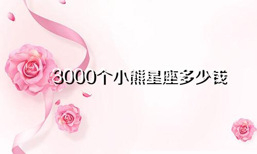 3000个小熊星座多少钱