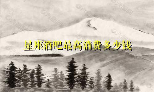 星座酒吧最高消费多少钱