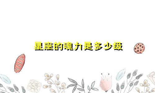 星座的魂力是多少级