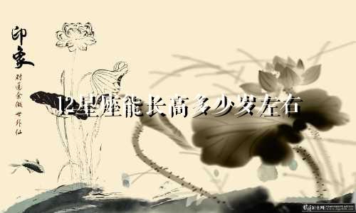 12星座能长高多少岁左右