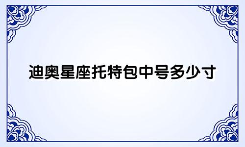 迪奥星座托特包中号多少寸