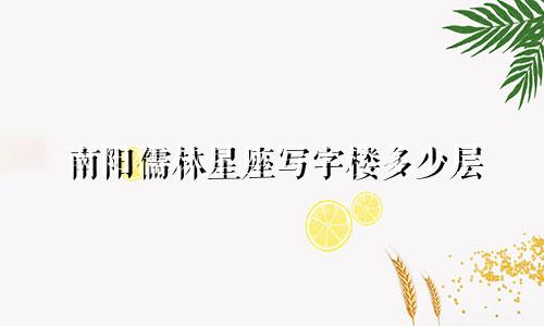 南阳儒林星座写字楼多少层