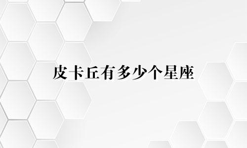 皮卡丘有多少个星座
