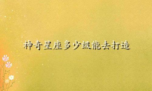 神奇星座多少级能去打造