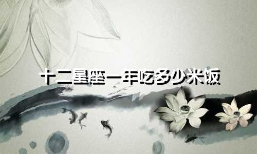 十二星座一年吃多少米饭