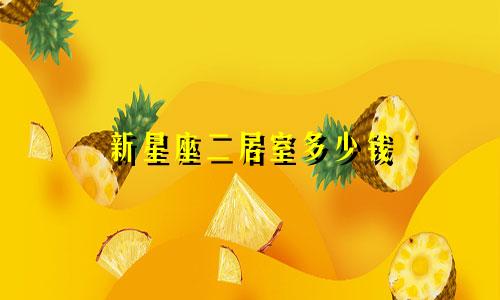 新星座二居室多少钱