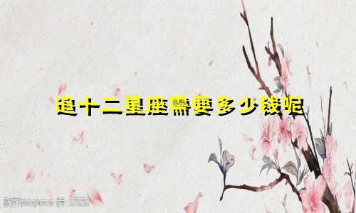 追十二星座需要多少钱呢