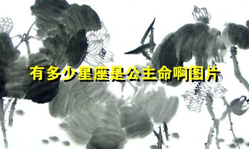 有多少星座是公主命啊图片