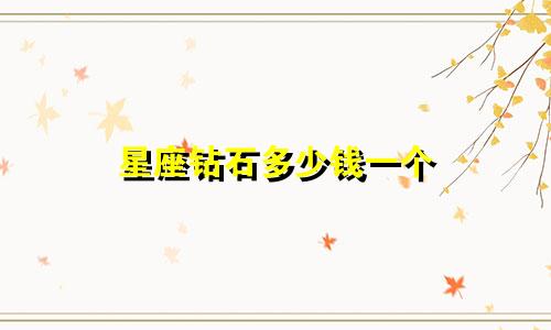 星座钻石多少钱一个