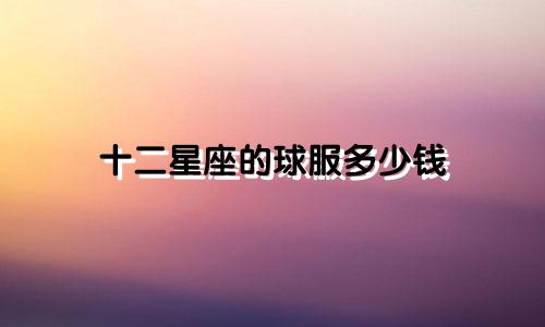 十二星座的球服多少钱