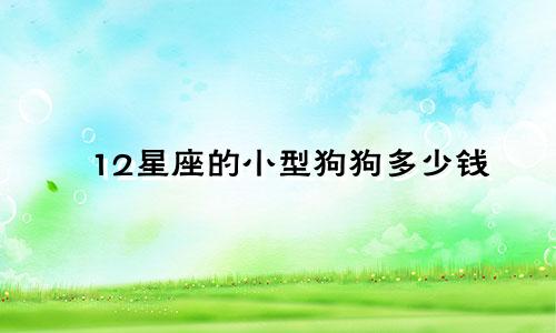 12星座的小型狗狗多少钱