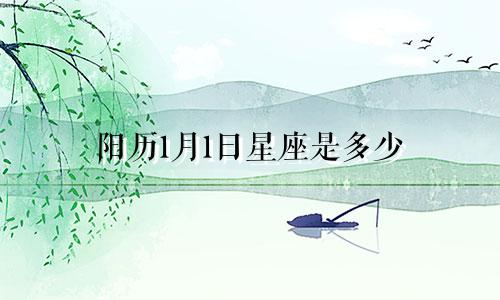 阳历1月1日星座是多少