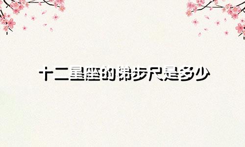 十二星座的梯步尺是多少