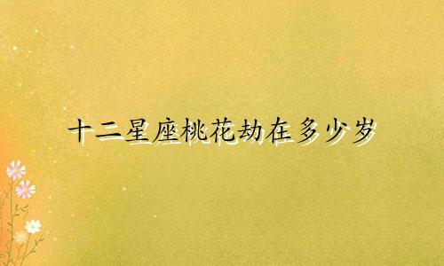 十二星座桃花劫在多少岁