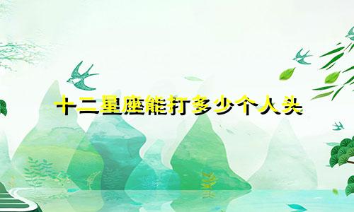 十二星座能打多少个人头