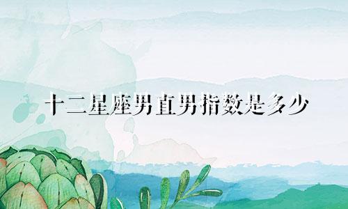 十二星座男直男指数是多少