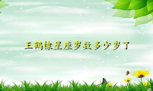 王鹤棣星座岁数多少岁了
