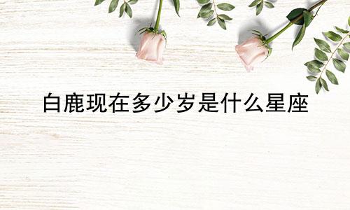 白鹿现在多少岁是什么星座