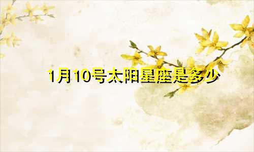 1月10号太阳星座是多少