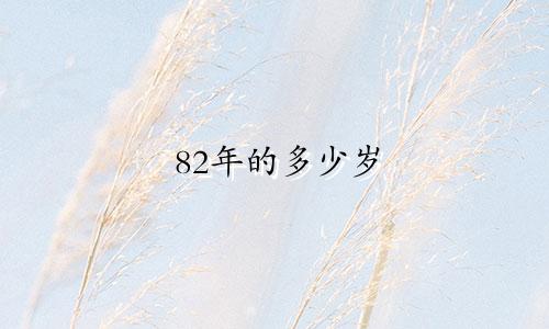 82年的多少岁 什么星座
