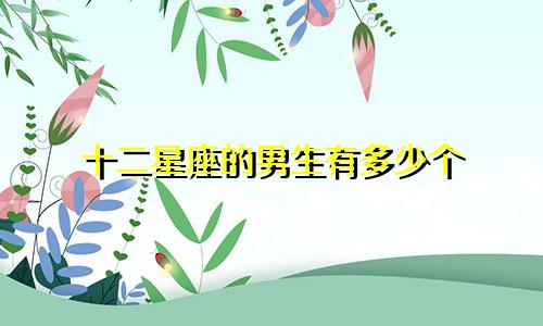 十二星座的男生有多少个