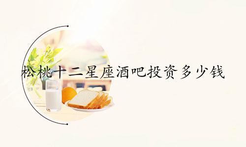 松桃十二星座酒吧投资多少钱