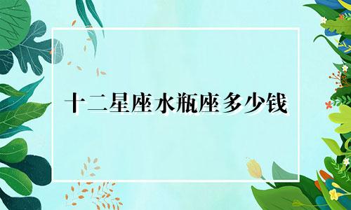 十二星座水瓶座多少钱