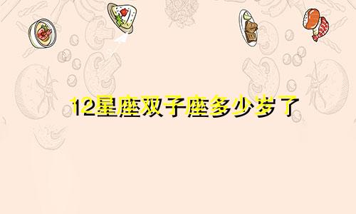 12星座双子座多少岁了