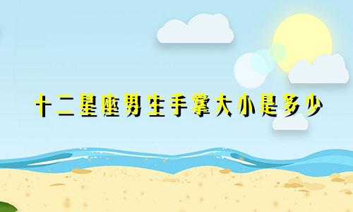 十二星座男生手掌大小是多少