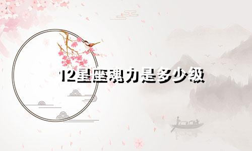 12星座魂力是多少级